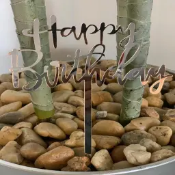 Birthday Gift